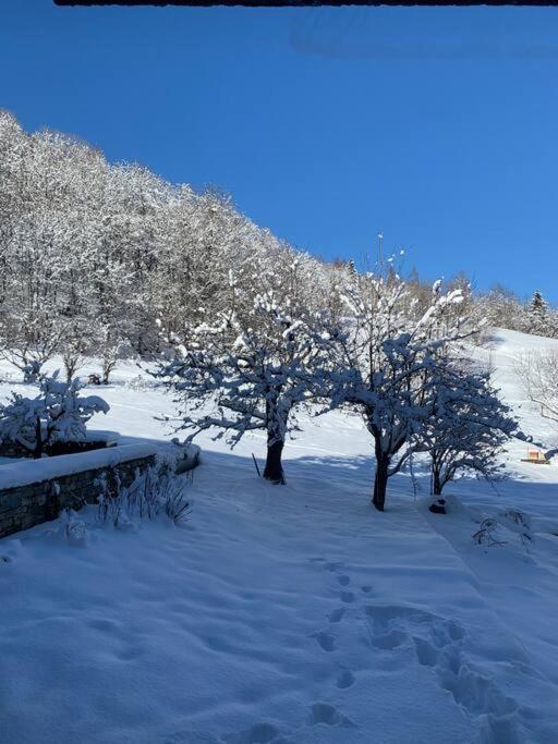 Meribel Chalet De Severine Les Allues Bagian luar foto